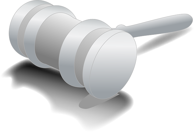 La liberté d'expression et sa protection par la loi