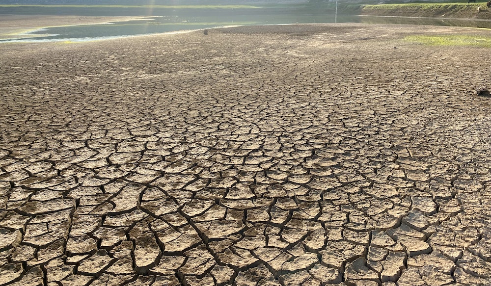 Les régulations juridiques face au défi du changement climatique : une perspective d'avocat