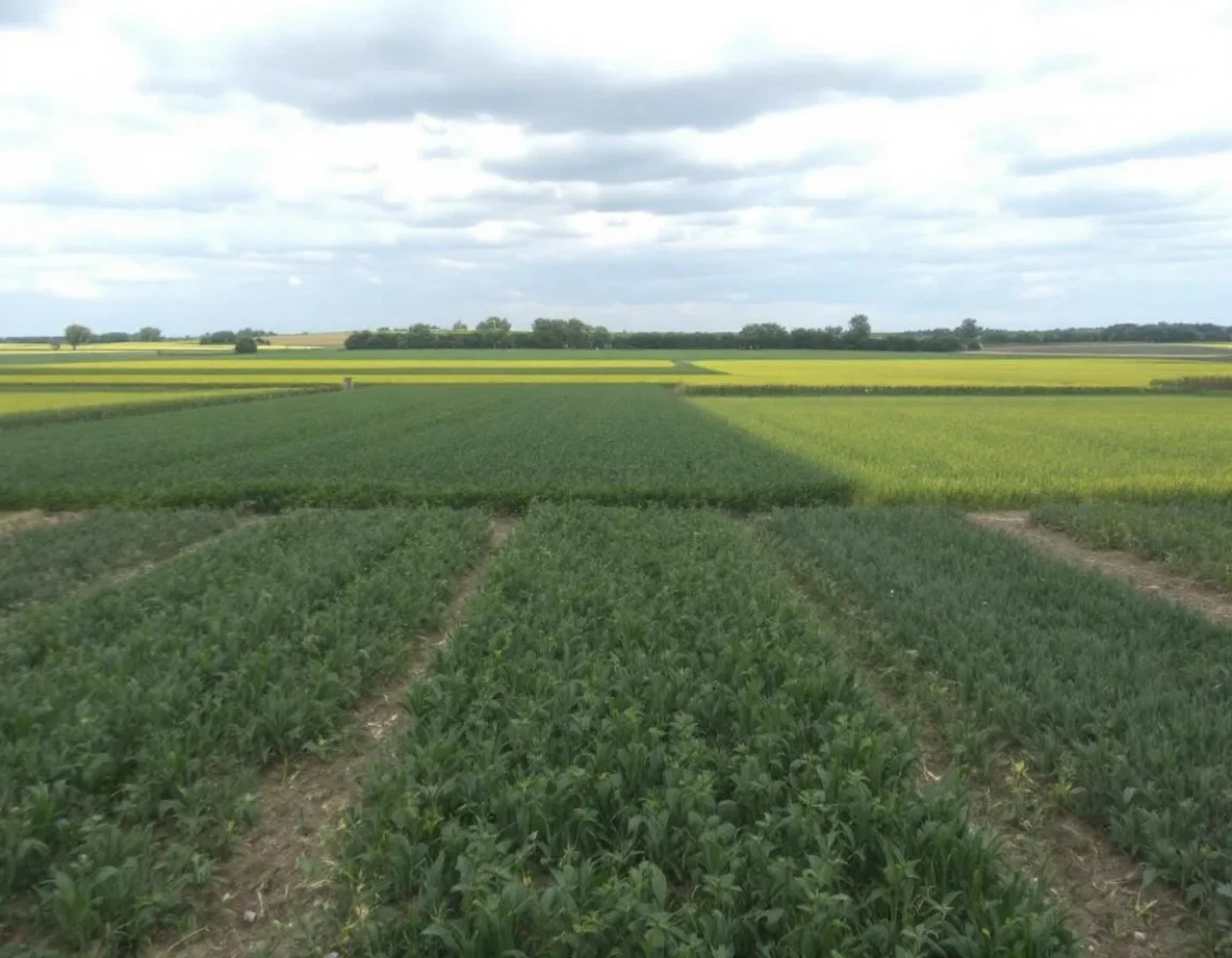 L'Assurance Multirisque Agricole : Protection Complète pour les Exploitants Agricoles
